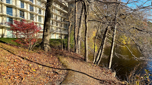 Park «Norumbega Park», reviews and photos, 2285 Commonwealth Avenue, Auburndale, MA 02466, USA