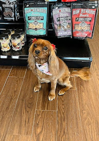 EarthWise Pet Supply & Grooming SWOKC - Photo 7 - Car repair in Oklahoma City, OK, Oklahoma City