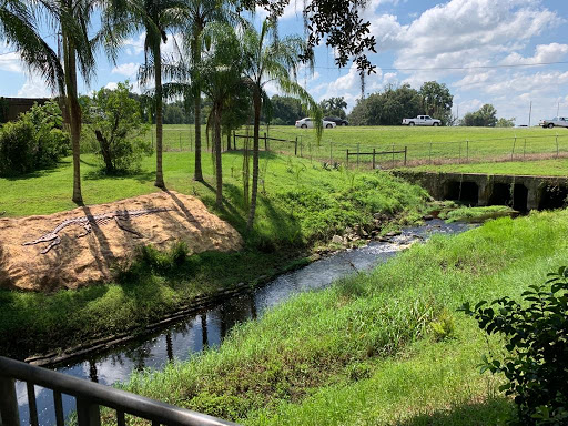 Theme Park «Dinosaur World», reviews and photos, 5145 Harvey Tew Rd, Plant City, FL 33565, USA