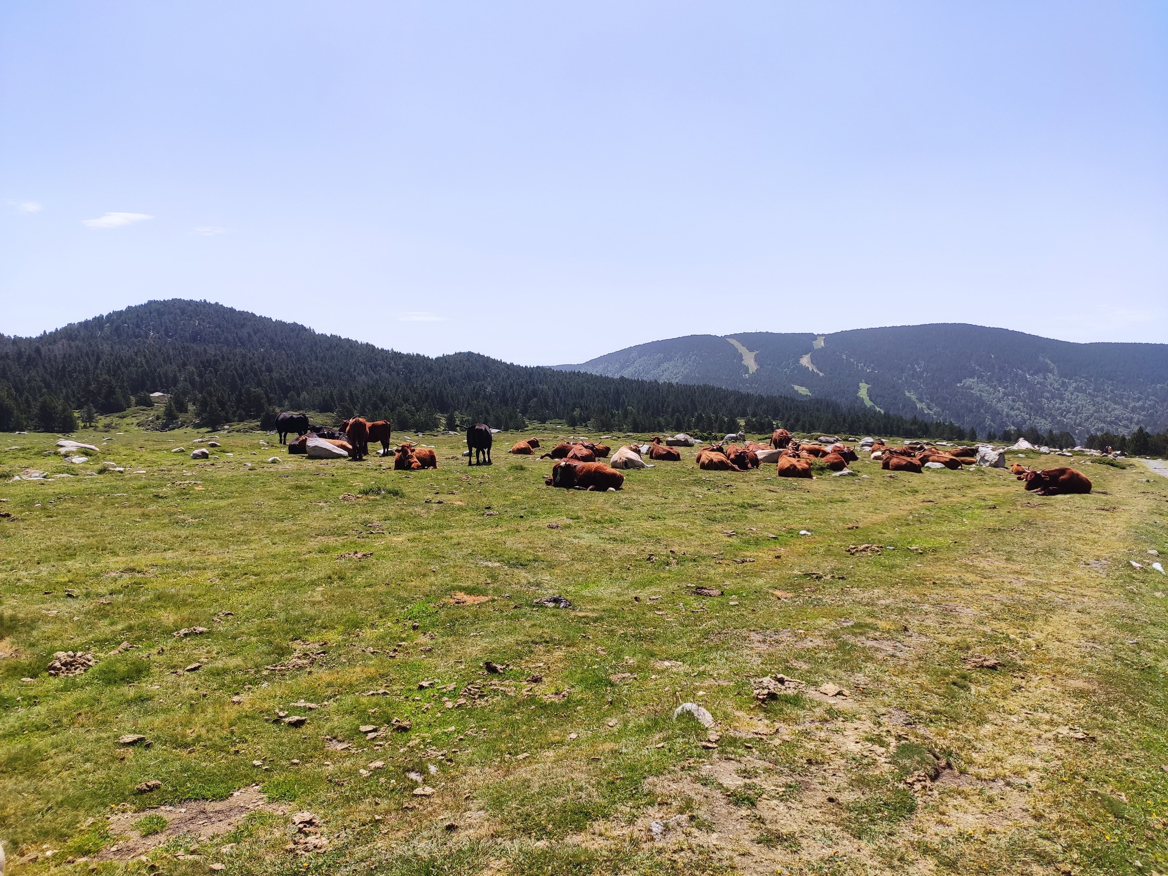 Photo n° 12 de l'avis de Francis.a fait le 06/07/2022 à 16:50