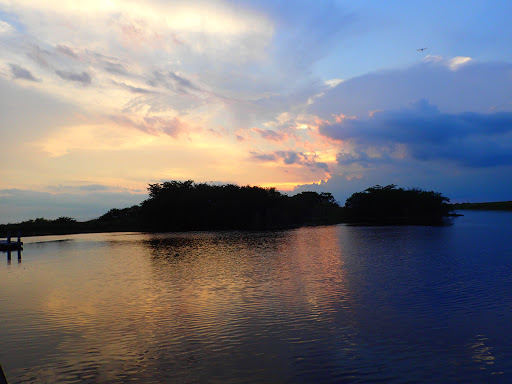 Park «Cooper City Pool & Tennis Center», reviews and photos, 11600 Stonebridge Pkwy, Hollywood, FL 33026, USA