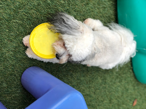 Pet Store «Bark Life Market», reviews and photos, 11220 Park Blvd N, Seminole, FL 33772, USA