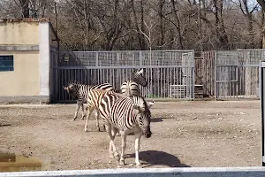 Odessa Zoo image