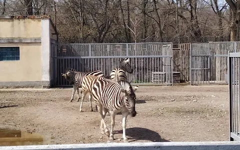 Odessa Zoo image