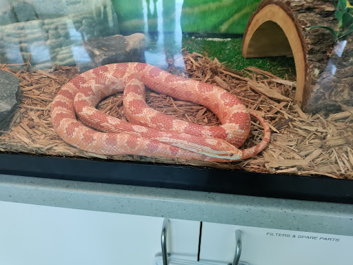 Nature Preserve «Lake Roland Nature Council», reviews and photos, 1000 Lakeside Dr, Baltimore, MD 21210, USA