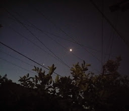 Pluma de Oro Park photo