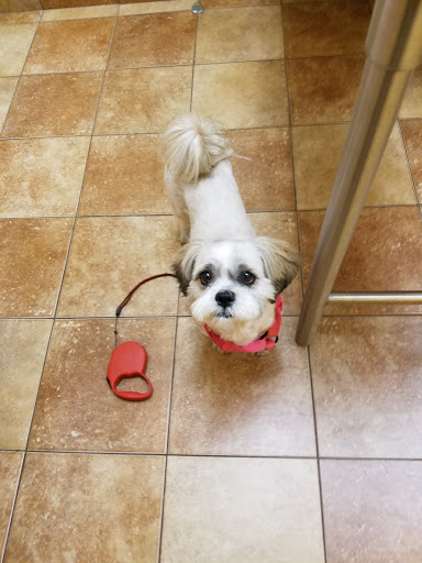 Pet Supply Store «PetSmart», reviews and photos, 278 New Britain Ave, Plainville, CT 06062, USA