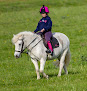 The Spanish Bit Riding School & Livery