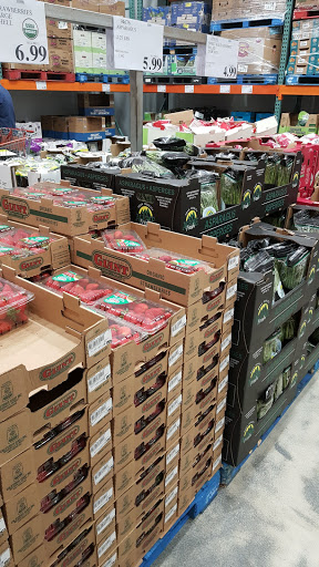 Warehouse store «Costco Wholesale», reviews and photos, 218 Lower Mountain View Dr, Colchester, VT 05446, USA