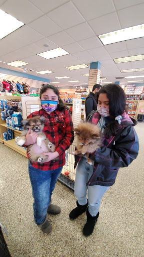 Pet Supply Store «Pet Ranch», reviews and photos, 3823 E 120th Ave, Denver, CO 80233, USA