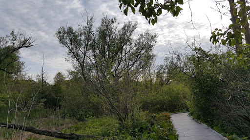 Nature Preserve «Jackson Bog State Nature Preserve», reviews and photos, 7984 Fulton Dr NW, Massillon, OH 44646, USA