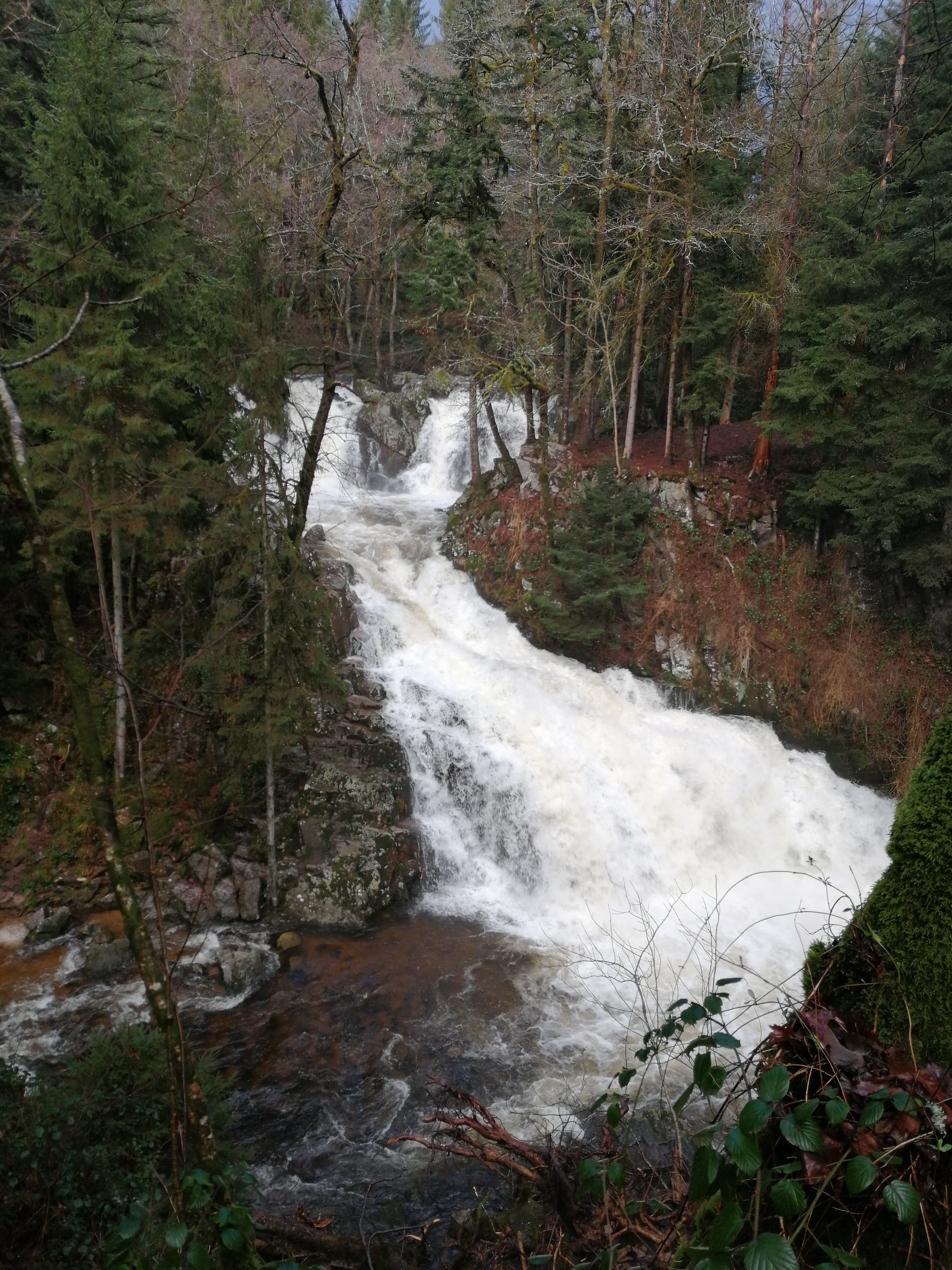Photo n° 2 de l'avis de fabrice.a fait le 26/12/2019 à 21:13