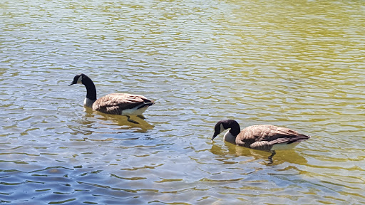 Park «Inwood Park», reviews and photos, 2308 Vine St, Cincinnati, OH 45219, USA