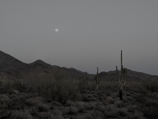 Nature Preserve «Gateway Trailhead - McDowell Sonoran Preserve», reviews and photos, 18333 N Thompson Peak Pkwy, Scottsdale, AZ 85255, USA