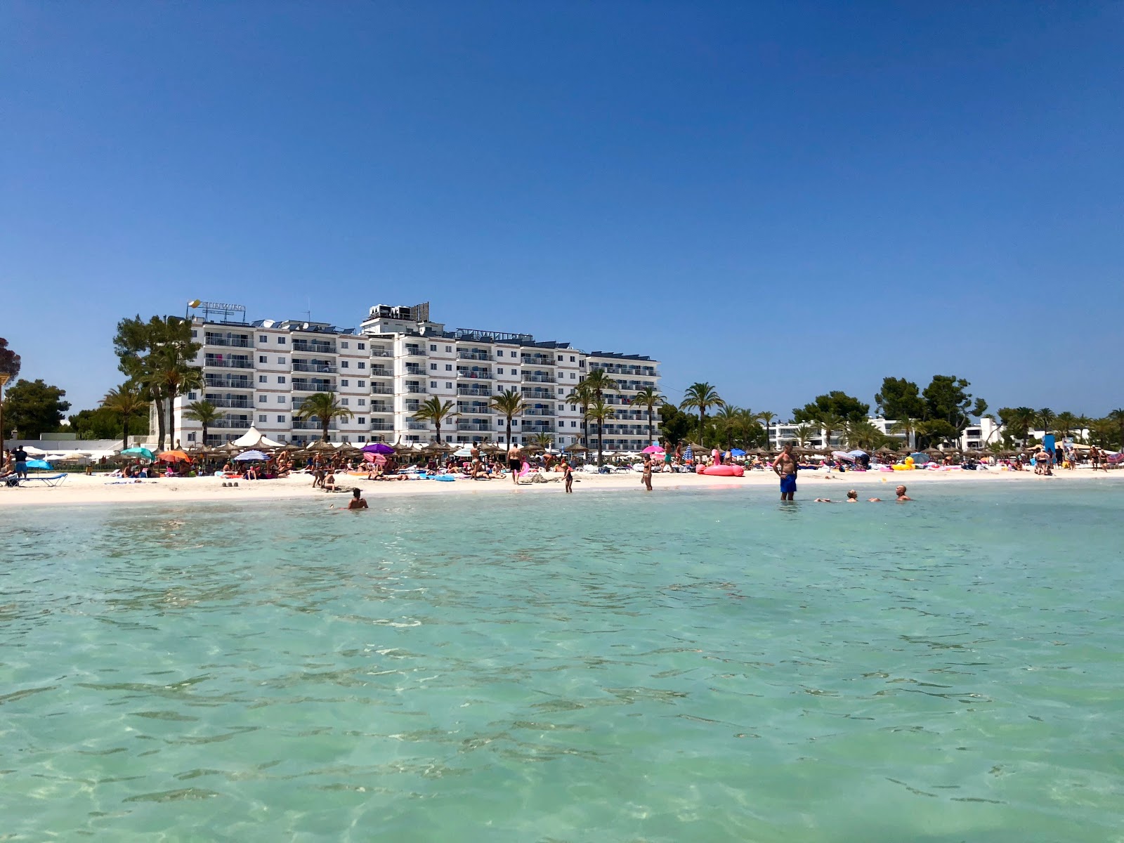 Alcudia Beach photo #8