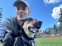 Snout and About - Photo 3 - Car repair in , Tacoma