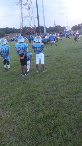 Stadium «Memorial Stadium», reviews and photos, N 17th St, Baton Rouge, LA 70802, USA