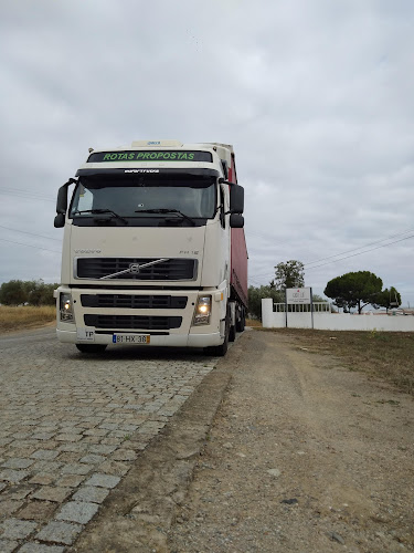Estrada Nacional 118, Aptd. 67