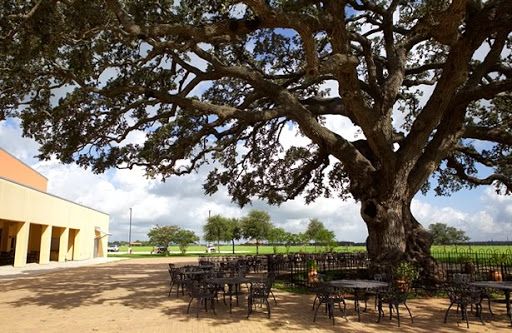 Convention Center «Floresville Event Center», reviews and photos, 600 TX-97, Floresville, TX 78114, USA