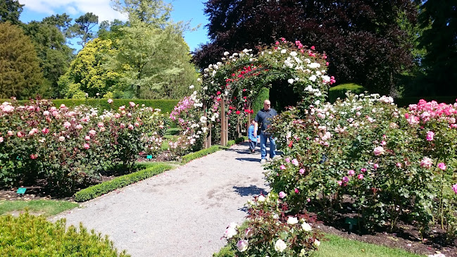Comments and reviews of Christchurch Botanic Gardens
