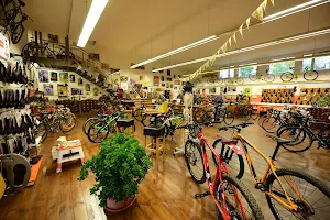 Mountain stage - The Bike Shop image