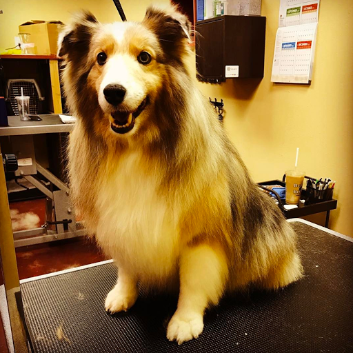 Pet Store «Healthy Pets Mountain West», reviews and photos, 2352 Fort Union Blvd, Cottonwood Heights, UT 84121, USA