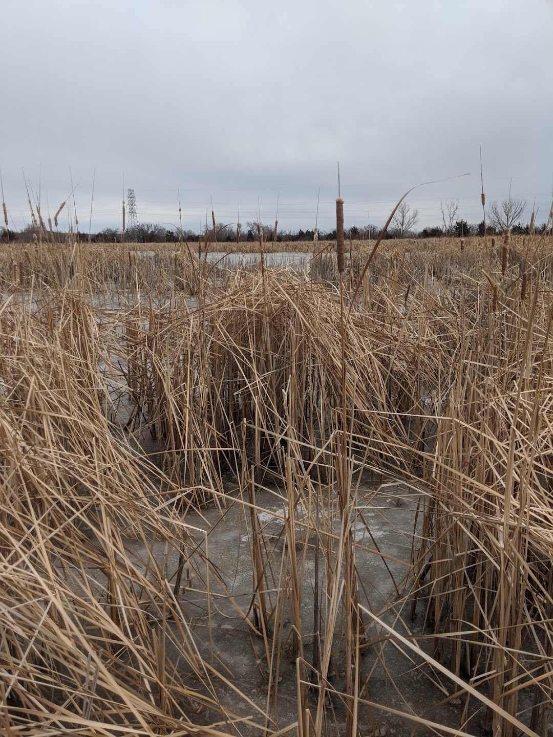 Lincoln Saline Wetlands Nature Center