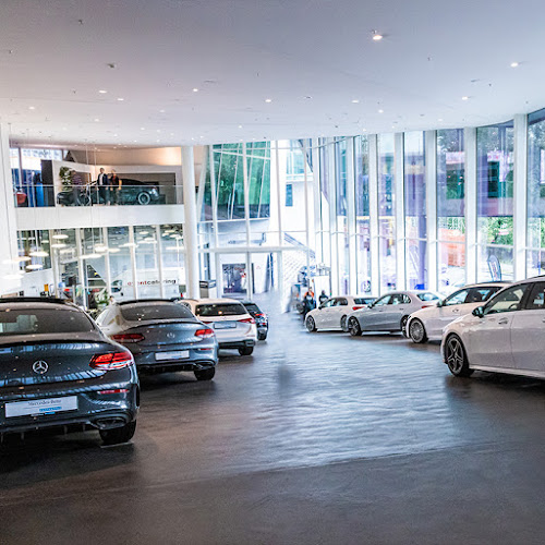 Rezensionen über Kestenholz Automobil AG, PW Center Basel (Mercedes-Benz) in Muttenz - Autohändler