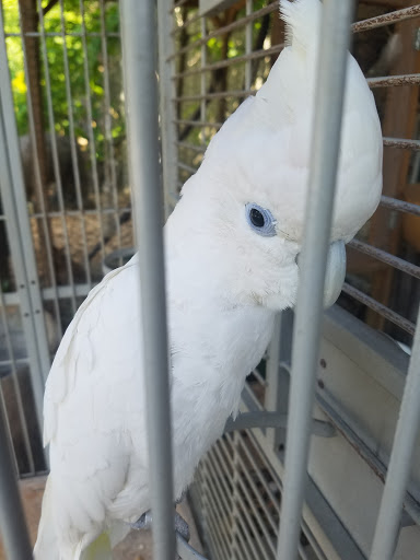 Pet Store «Ponds & Plants», reviews and photos