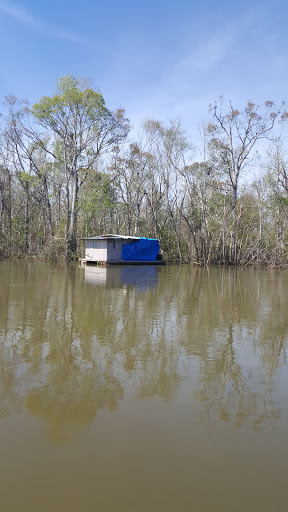 National Forest «Apalachicola National Forest», reviews and photos, Stateroad 13, Sopchoppy, FL 32358, USA