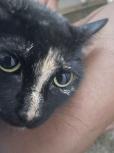 West Baton Rouge Animal Control