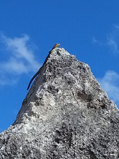 Tourist Attraction «Coral Castle», reviews and photos, 28655 S Dixie Hwy, Homestead, FL 33033, USA