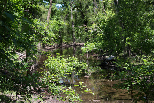 Nature Preserve «Spring Creek Nature Area», reviews and photos, N Plano Rd, Richardson, TX 75082, USA