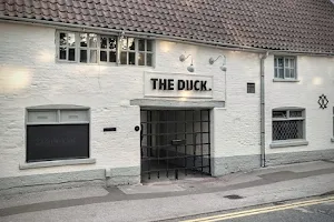 The Duck image
