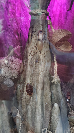 Aquarium «Loveland Living Planet Aquarium», reviews and photos, 12033 Lone Peak Pkwy, Draper, UT 84020, USA