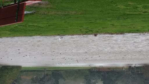 Golf Course «Seaside Golf Course», reviews and photos, 451 Avenue U, Seaside, OR 97138, USA