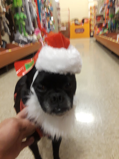 Pet Supply Store «PetSmart», reviews and photos, 3995 Welsh Rd, Willow Grove, PA 19090, USA
