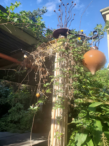 Hotel «McMenamins Anderson School», reviews and photos, 18607 Bothell Way NE, Bothell, WA 98011, USA