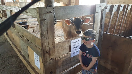 Dairy Farm «Sugar Hill Dairy», reviews and photos, 600 Pleasant St, Bridgewater, MA 02324, USA