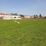 Photo n°3 de l'avis de Paulo.a fait le 11/03/2020 à 15:21 sur le  Casa da Eira - Cozinha Regional à Trofa