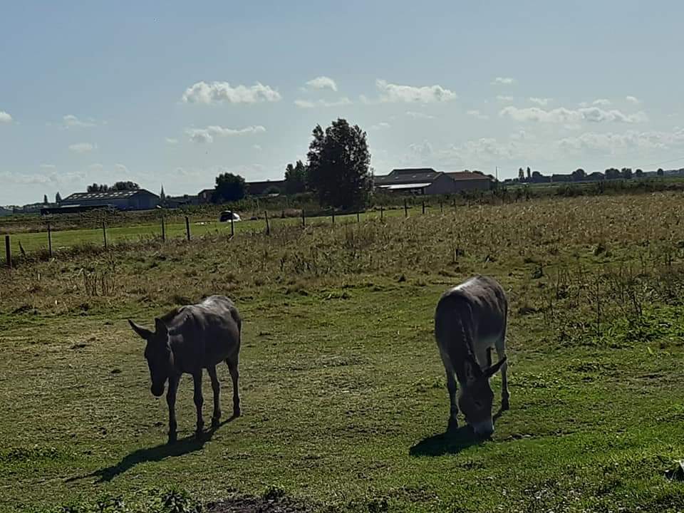 Photo n° 12 de l'avis de Jeremy.i fait le 01/09/2019 à 23:05