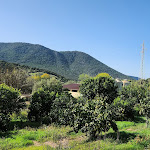 Photo n°7 de l'avis de Riccardo.h fait le 24/10/2022 à 06:11 sur le  Ristorante Agriturismo La Grotta del Tesoro à Su Benatzu