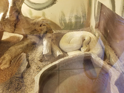 Zoo «Heritage Park Zoological Sanctuary», reviews and photos, 1403 Heritage Park Rd, Prescott, AZ 86301, USA