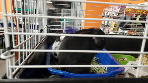 Pet Supply Store «House of Pets Inc», reviews and photos, 29500 Ford Rd, Garden City, MI 48135, USA