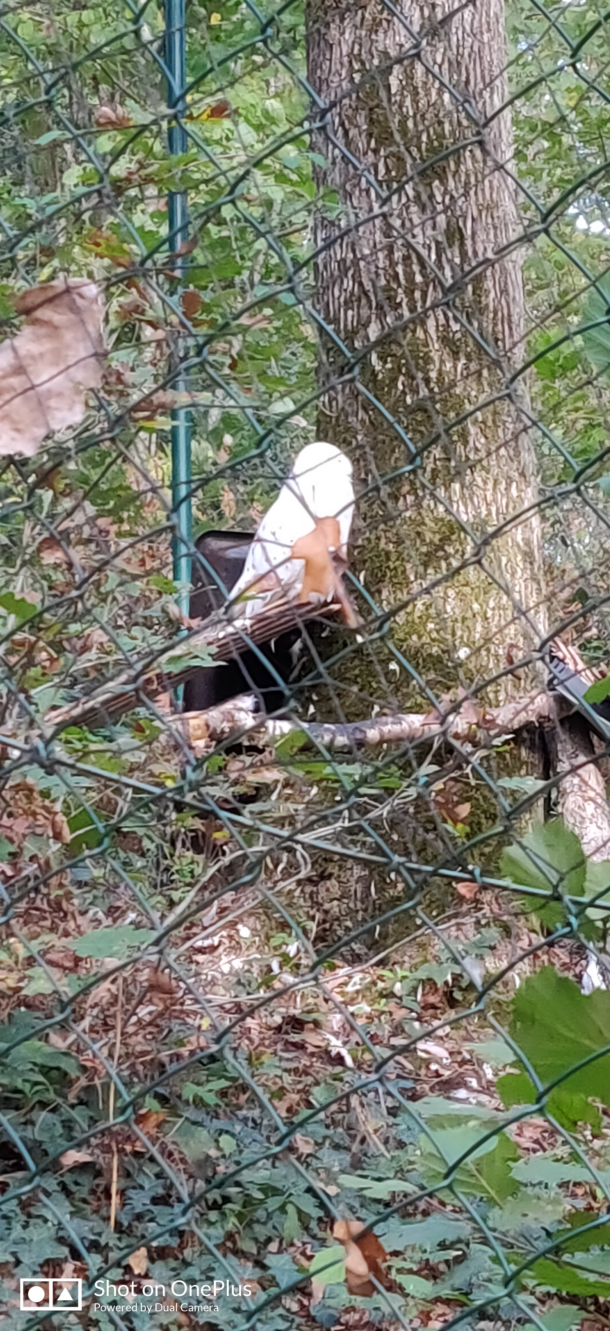 Photo n° 2 de l'avis de Jean-marc.e fait le 01/11/2022 à 19:36