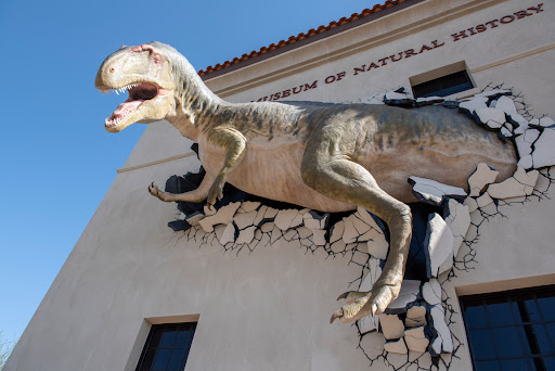 Tourist Attraction «Arizona Museum of Natural History», reviews and photos, 53 N Macdonald, Mesa, AZ 85201, USA