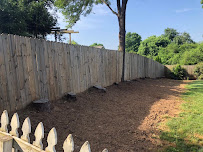 Lawn Asheville ~ Mowing, Landscaping, Lawn Care - Photo 3 - Car repair in Asheville, NC, Asheville