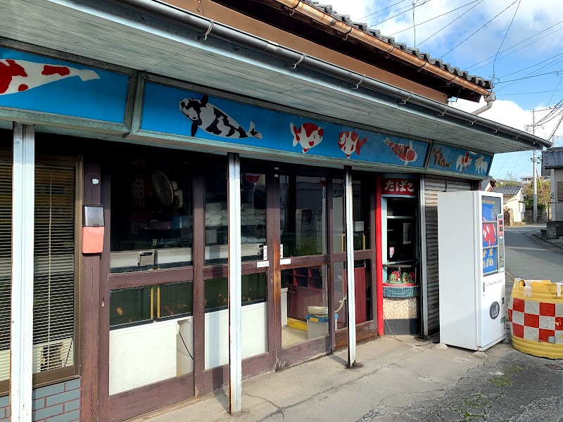 小川金魚店
