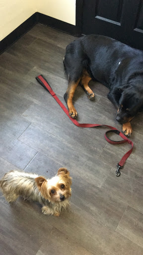 Screen Printer «LoveTeez Screen Printing», reviews and photos, 2020 S Combee Rd #8, Lakeland, FL 33801, USA