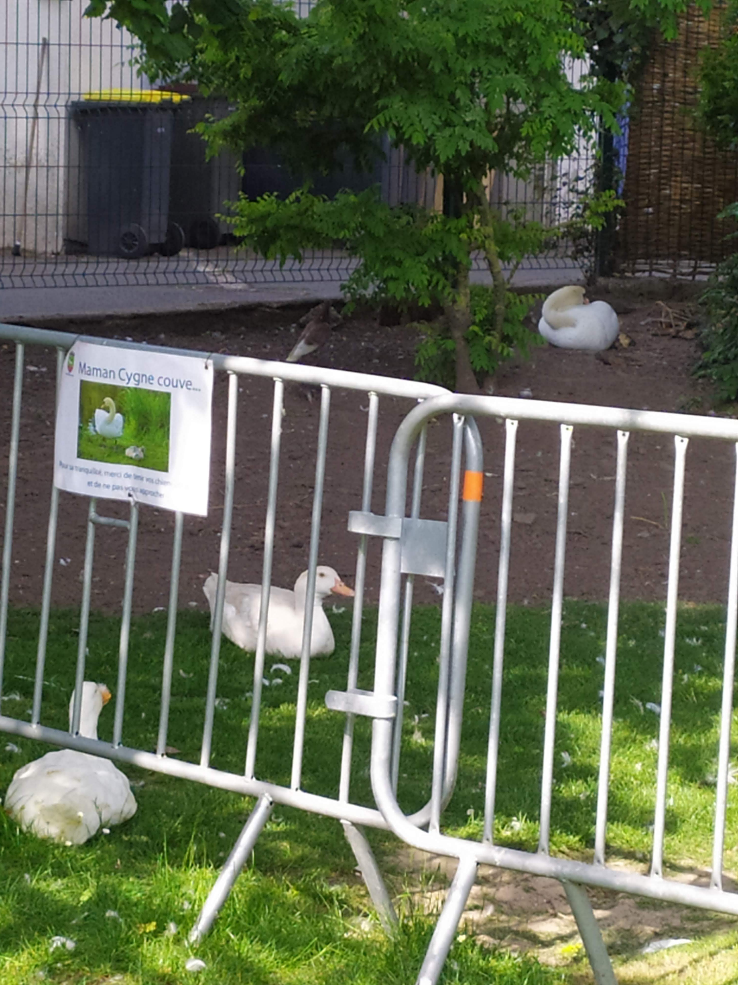 Photo n° 4 de l'avis de lefebvre.a fait le 27/06/2021 à 17:40